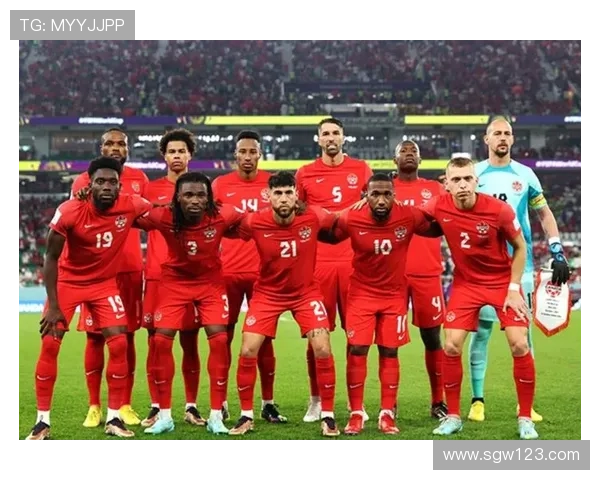 上海网球队崛起之路：从默默无闻到世界杯舞台的辉煌历程