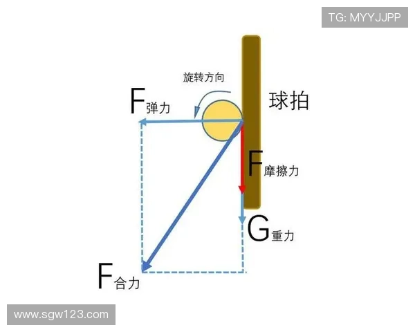 乒乓球新手必看:从零基础到比赛高手的实用经验分享与技巧总结 乒乓球新手必看:从零基础到比赛高手的实用经验分享与技巧总结