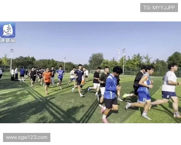 从草地到绿茵场足球明星们的奋斗与梦想之旅