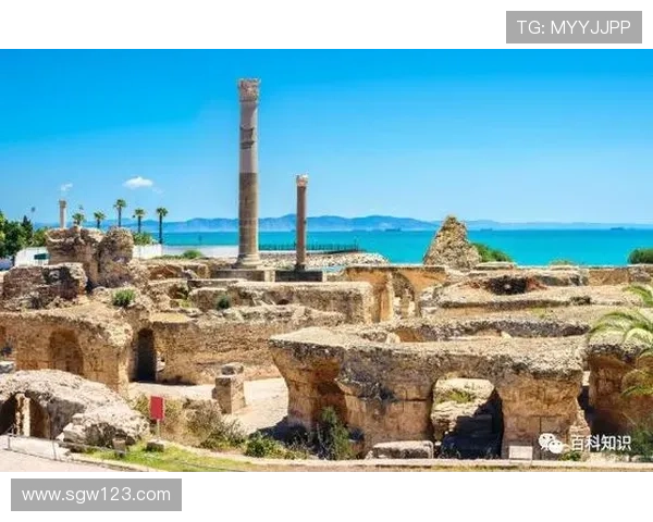 足球明星们的度假胜地揭秘哪个海岛成为他们的首选天堂