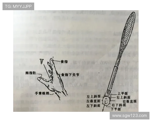 网球新手必读：快速掌握基础技巧与实用训练方法指南